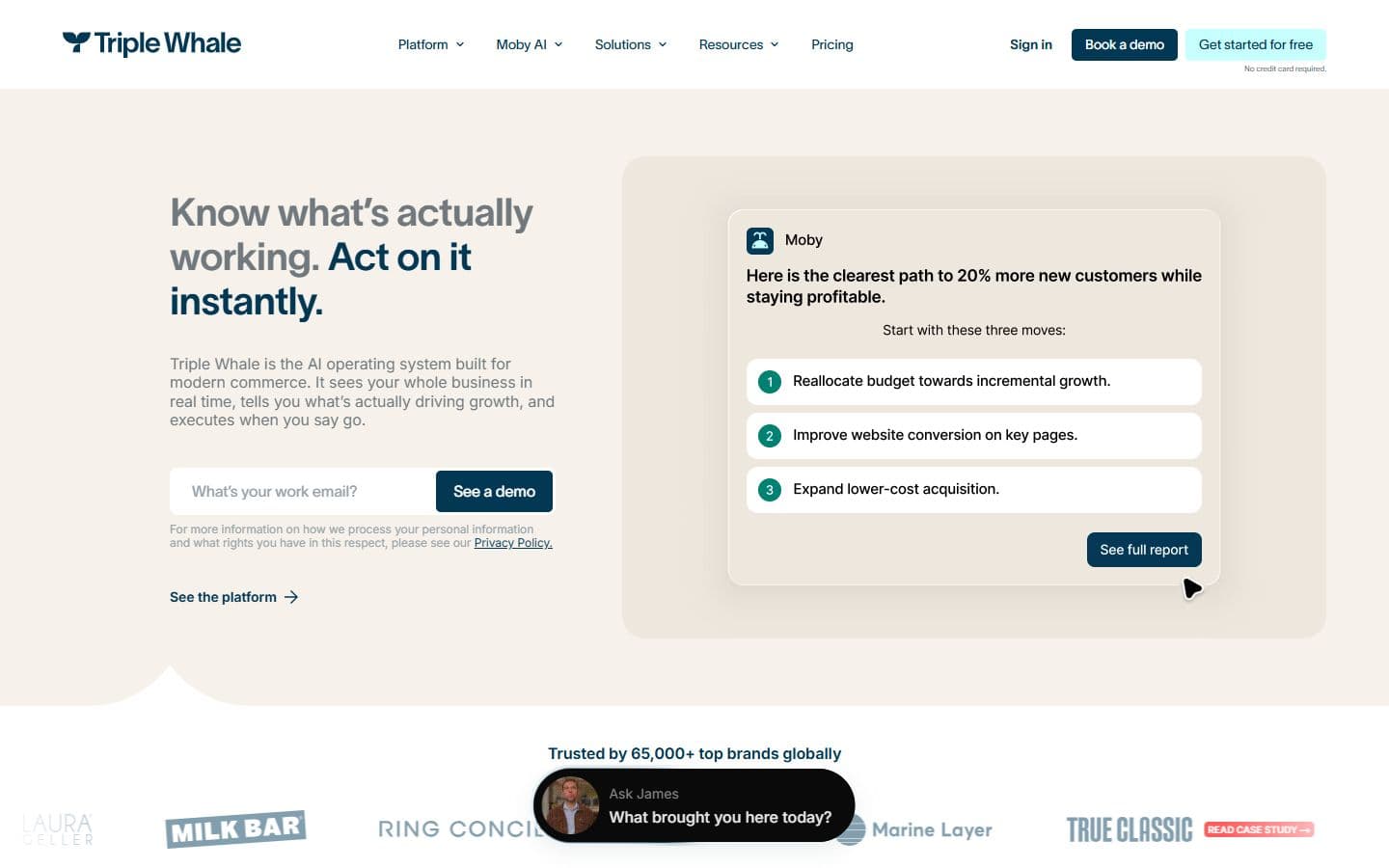 Triple Whale homepage