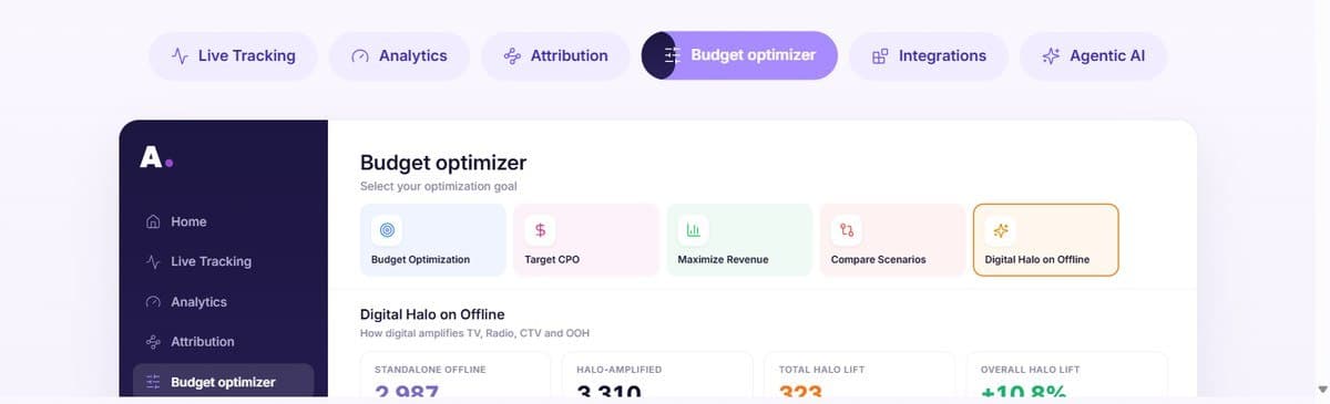 Budget optimizer